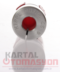 10-10mm Delik, 20mm Gövde Çaplı 28mm Uzunlukta Alüminyum Puflex Kaplin