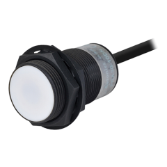 PRA30-10DP2 10mm PNP, NK  12-24VDC Teflon Kaplı Endüktif Sensör