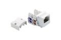 CAT6 UTP Keystone Jack