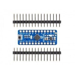 Adafruit ATSAMD09 Breakout