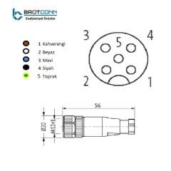 M1205FS M12 5-Pin Dişi Düz Soket