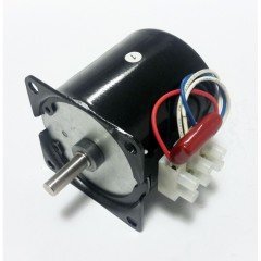 2.5RPM 14W AC Senkron Motor