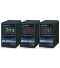 Autonics CN-6100-C2 Converter