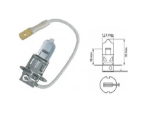 6V H3 Ampul 55W
