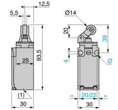 XCKP2121P16 Makaralı Kollu Limit Siviç